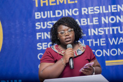 NBFIs-Forum-3